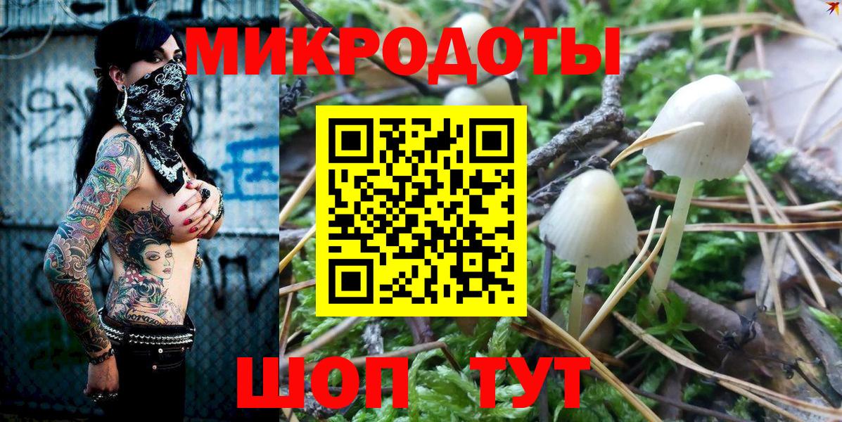 Гулькевичи  Псилоцибиновые грибы MAGIC MUSHROOMS  Псилоцибиновые грибы Psilocybine cubensis  Вход с VPN 
