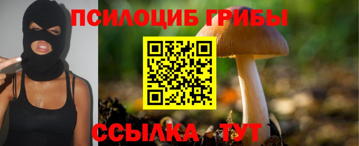 Галлюциногенные грибы мицелий Гулькевичи